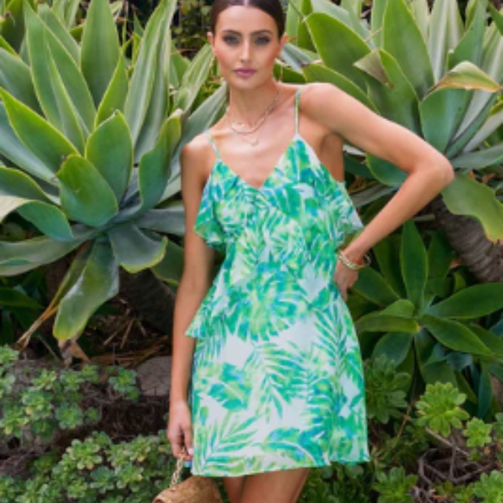 Vici Palmita Printed Chiffon Ruffle Mini Dress